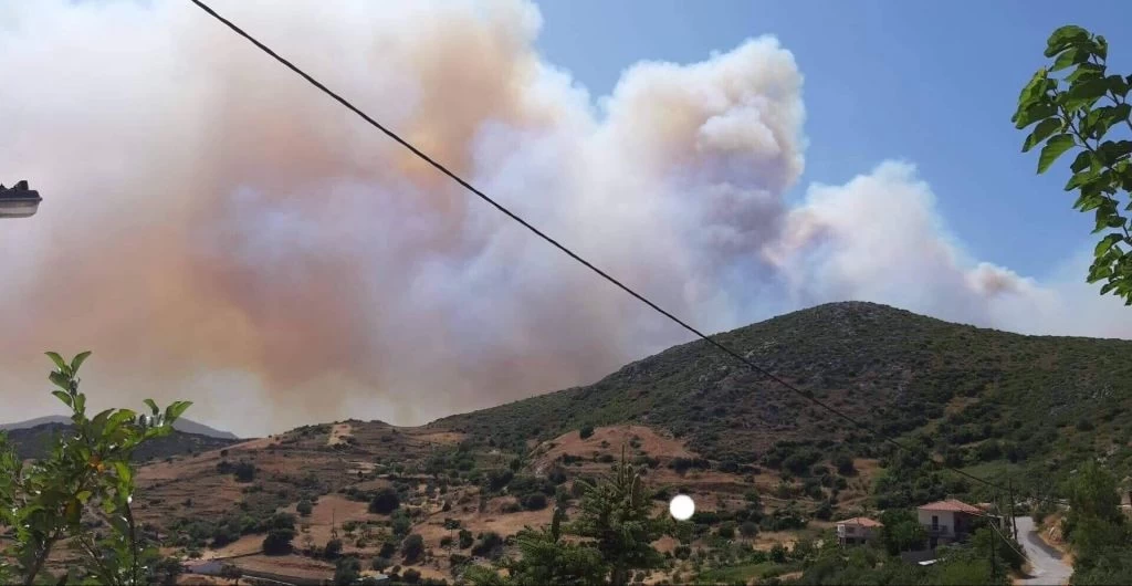 Κάτοικος Ερέτριας: Καίγονται σπίτια στο Μακρυχώρι! (βίντεο)